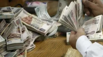 رسميًا ولـ 3 أشهر.. مواعيد صرف مرتبات الموظفين الخطة الكاملة لـ أكتوبر ونوفمبر وديسمبر 2025 1